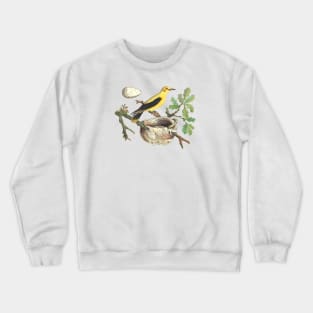 Oriole Bird Wildlife Illustration Crewneck Sweatshirt